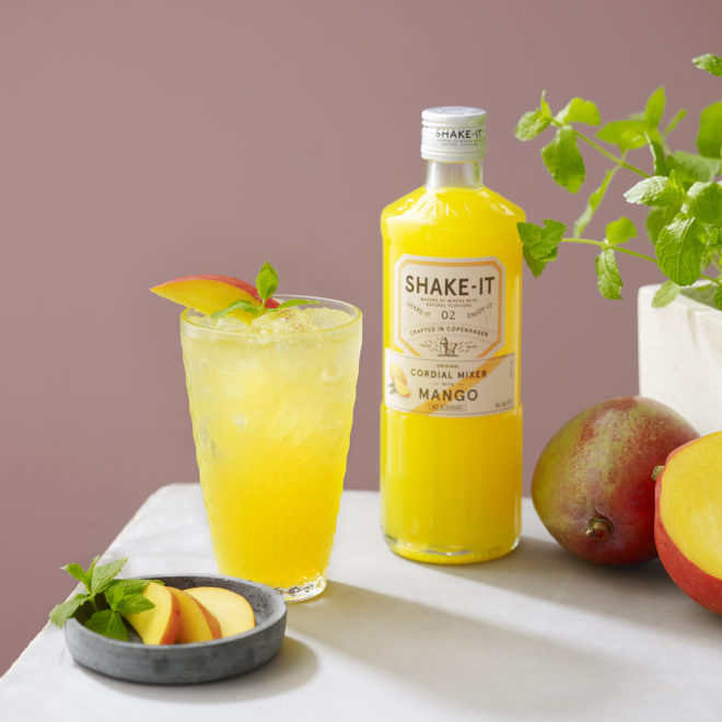 The Gunner ShakeIt Mixer